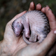 Image: AP